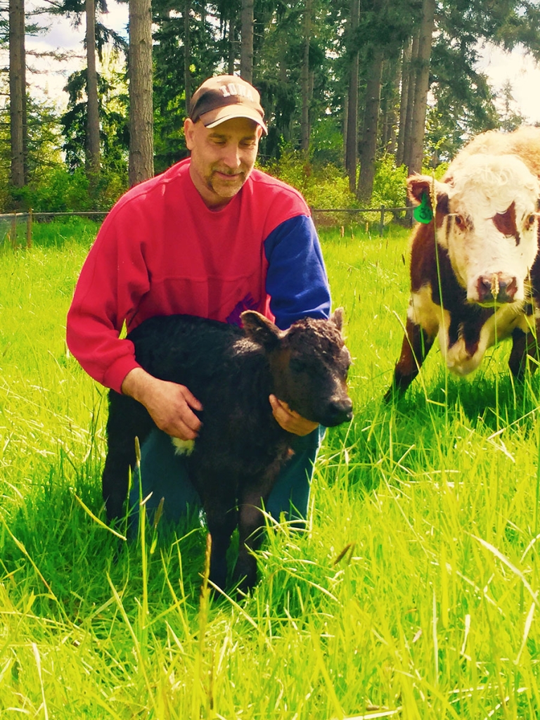 miniature calf helen